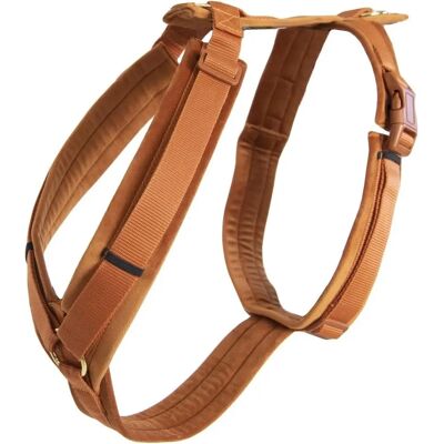 Kentucky Dogwear Arnés de Terciopelo Activo S - Accesorio para Perro Kentucky Dogwear Arnés de Terciopelo Activo S - Accesorio para Perro