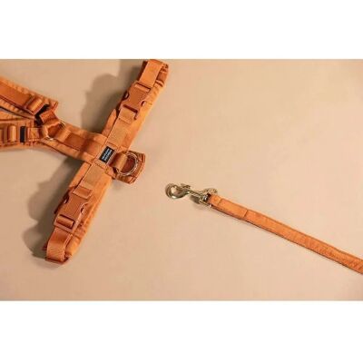 Kentucky Dogwear XL Arancione Collare per Cani - Collare per Cani Kentucky Dogwear XL Arancione Collare per Cani - Collare per Cani