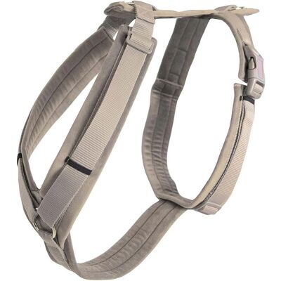 Imbracatura per cani Kentucky Dogwear velluto beige XL - Attivo Imbracatura per cani Kentucky Dogwear velluto beige XL - Attivo