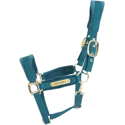 Halfter en Velours Smaragd de Kentucky Horsewear - Licol pour chevaux - Publicité Halfter en Velours Smaragd de Kentucky Horsewear - Licol pour chevaux - Publicité
