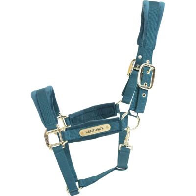 Kentucky Horsewear Halter en velours Smaragd - Équitation - Publicité Kentucky Horsewear Halter en velours Smaragd - Équitation - Publicité