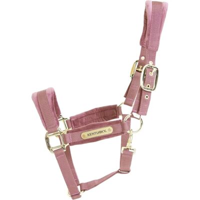 Halfter en Velours Kentucky Horsewear - Élégant, Réglable, Lavable - Halter - Publicité Halfter en Velours Kentucky Horsewear - Élégant, Réglable, Lavable - Halter - Publicité