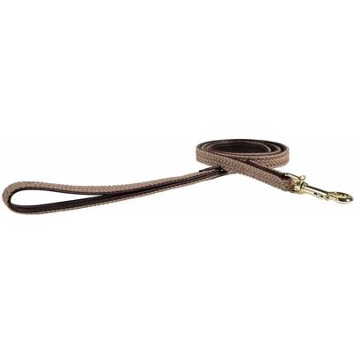 Correa de nylon Kentucky Dogwear - 120cm Beige - Control y Estilo Correa de nylon Kentucky Dogwear - 120cm Beige - Control y Estilo
