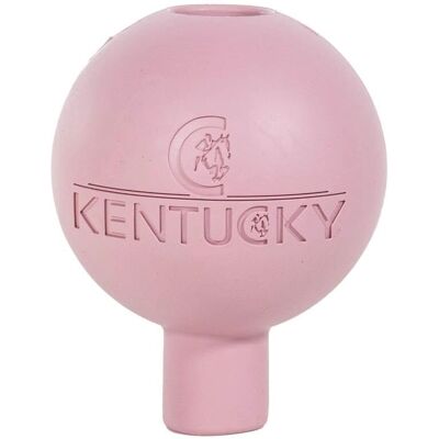 Kentucky Horsewear Gummiball Leine & Wandschutz - Old Rose Kentucky Horsewear Gummiball Leine & Wandschutz - Old Rose