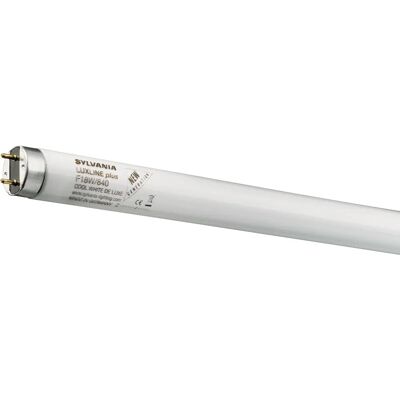Sylvania Luxline Plus T8 36W Warm White - Fluorescent Bulb Sylvania Luxline Plus T8 36W Warm White - Fluorescent Bulb