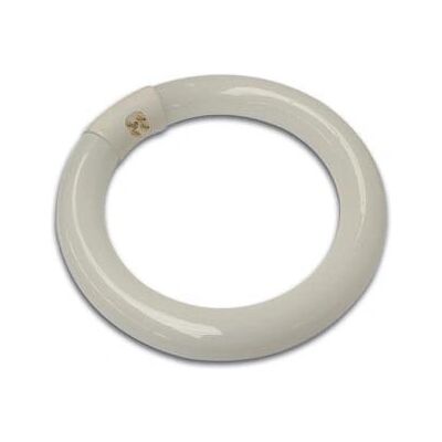 Velleman Vtlamp2 Bulbo fluorescente blanco frío - Bombilla Velleman Vtlamp2 Bulbo fluorescente blanco frío - Bombilla