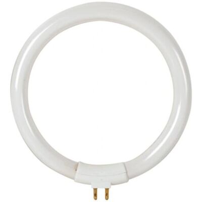 Velleman Vtlamp8 12W Ampoule Fluorescente - Verre Rond, Blanc Froid - Publicité Velleman Vtlamp8 12W Ampoule Fluorescente - Verre Rond, Blanc Froid - Publicité