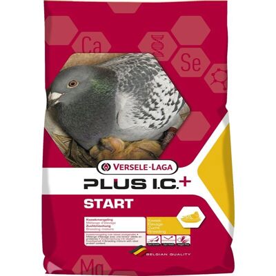 Versele-Laga Plus i.c. Plus Start - Mezcla completa para cría de palomas - 20kg Versele-Laga Plus i.c. Plus Start - Mezcla completa para cría de palomas - 20kg