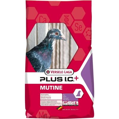 Alimento completo para palomas Mutine Plus I.C. - 20kg Alimento completo para palomas Mutine Plus I.C. - 20kg