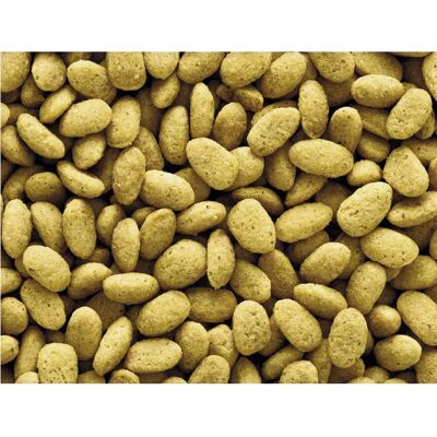 Versele-laga P19 Fuglemat - Fullstendig absorberende formel Versele-laga P19 Fuglemat - Fullstendig absorberende formel