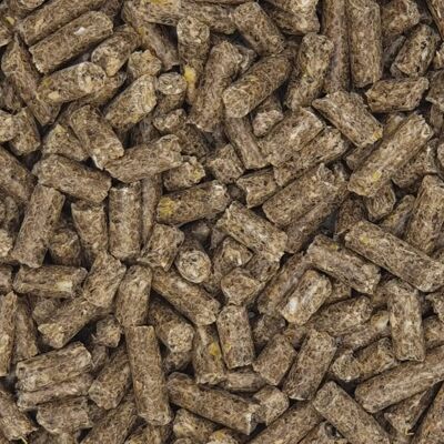 Versele-Laga Austru 3 Pellet - Alimento uccelli Versele-Laga Austru 3 Pellet - Alimento uccelli