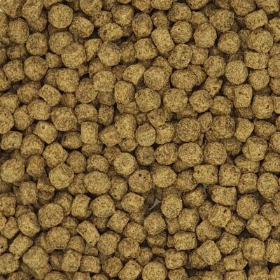 Versele-Laga Cibo Galleggiante 15kg - Alimento per uccelli acquatici Versele-Laga Cibo Galleggiante 15kg - Alimento per uccelli acquatici