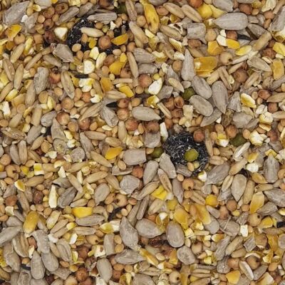 Versele-Laga 10kg Cibo per uccelli selvatici - Nutrizione per uccelli Versele-Laga 10kg Cibo per uccelli selvatici - Nutrizione per uccelli