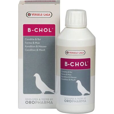 Versele-Laga B-chol - Integratore per il fegato dei Colombe - 500ml Versele-Laga B-chol - Integratore per il fegato dei Colombe - 500ml