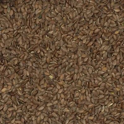 Versele Laga Linaza - Vogelfutter - 25kg Versele Laga Linaza - Vogelfutter - 25kg