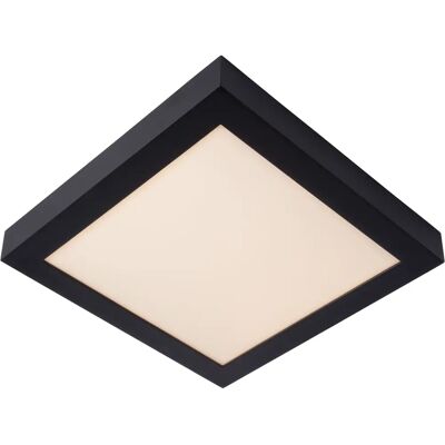 Lucide BriceLED 30W 3000K IP44 - Stropní Světlo Lucide BriceLED 30W 3000K IP44 - Stropní Světlo