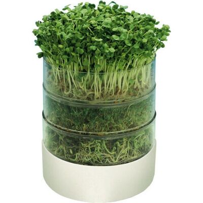 Mauser 10760106 Kit di Coltivazione - Germinazione e Piantine Mauser 10760106 Kit di Coltivazione - Germinazione e Piantine