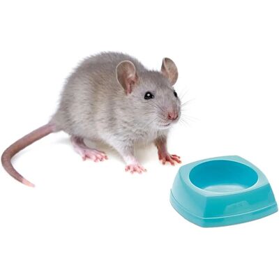 Savic Hamsterkom - Klein, 5cm - Kooi Accessoire Savic Hamsterkom - Klein, 5cm - Kooi Accessoire