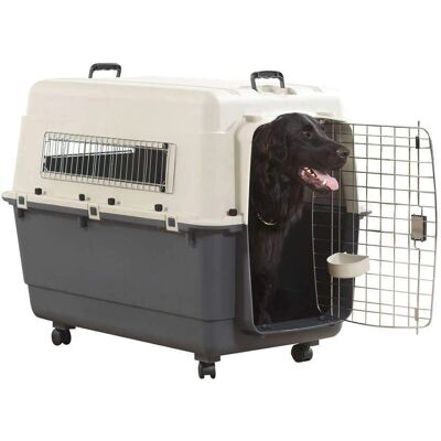 Savic Transportkasse med Hjul Modell T7 - Hundetransportkasse Savic Transportkasse med Hjul Modell T7 - Hundetransportkasse