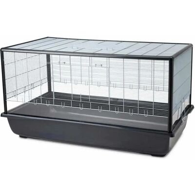 Savic Aura 120 Plexi Knock Down - Katthem Savic Aura 120 Plexi Knock Down - Katthem