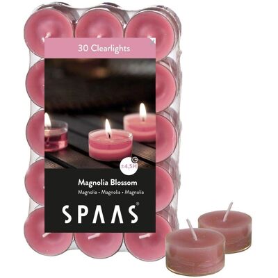 Spaas Modèle 0338283.174 - 12 Parfums Bougies Transparentes - Publicité Spaas Modèle 0338283.174 - 12 Parfums Bougies Transparentes - Publicité