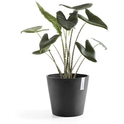Ecopots Amsterdam Anthracite Vase - Vase - Publicité Ecopots Amsterdam Anthracite Vase - Vase - Publicité