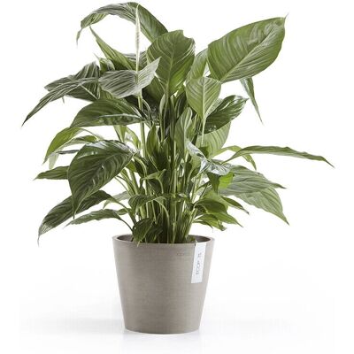 Vaso in plastica grigia Ecopots Amsterdam - 20cm Vaso in plastica grigia Ecopots Amsterdam - 20cm