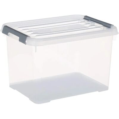 Curver 20L Aufbewahrungsbox mit Deckel - Transparent/Silber Curver 20L Aufbewahrungsbox mit Deckel - Transparent/Silber