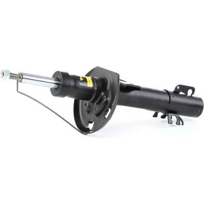 MONROE G8109 Ammortizzatore - Ammortizzatore MONROE G8109 Ammortizzatore - Ammortizzatore