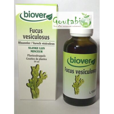 Extracto de Fucus Vesiculosus Biover - Extracto de hierbas para pérdida de peso Extracto de Fucus Vesiculosus Biover - Extracto de hierbas para pérdida de peso