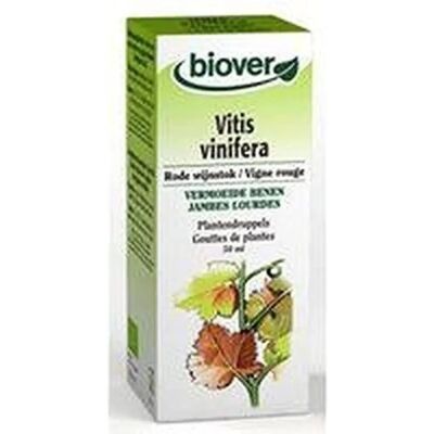 Biover Vid Roja - Vitis Vinifera - 50ml - Apoyo circulatorio Biover Vid Roja - Vitis Vinifera - 50ml - Apoyo circulatorio