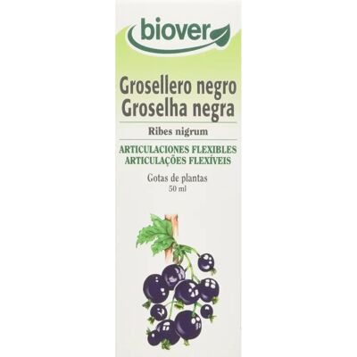 Extracto líquido de Grosellero Negro de Biover - Grosella Negra - Apoya inmunidad Extracto líquido de Grosellero Negro de Biover - Grosella Negra - Apoya inmunidad