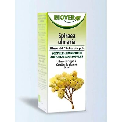 Biover Ulmaria Extracto - Apoyo para articulaciones y músculos Biover Ulmaria Extracto - Apoyo para articulaciones y músculos