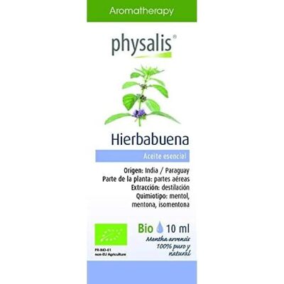 Physalis Pfefferminz-Extrakt 10 ml - Essenz Physalis Pfefferminz-Extrakt 10 ml - Essenz