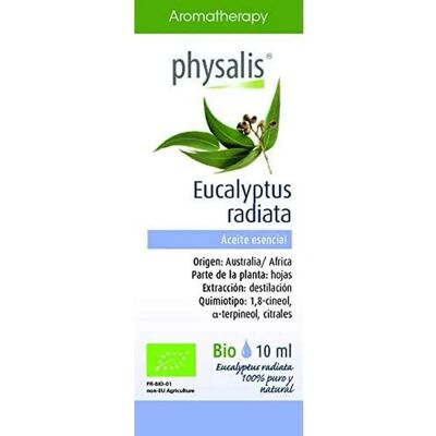 Physalis Eucalyptus Radiata Bio Essence - Essential Oil for Kids Physalis Eucalyptus Radiata Bio Essence - Essential Oil for Kids