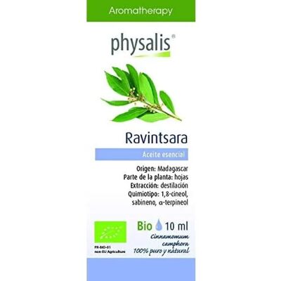 Physalis Ravintsara Ätherisches Öl - Atemwegssupport Physalis Ravintsara Ätherisches Öl - Atemwegssupport