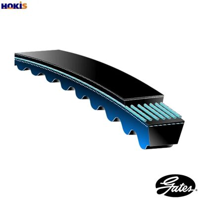 GATES SPB2000 Keilriemen - 16mm x 2000mm - Schwarz - Volvo GATES SPB2000 Keilriemen - 16mm x 2000mm - Schwarz - Volvo