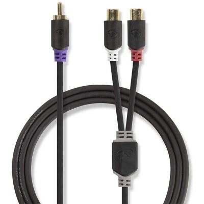 Nedis Modell CABW24010AT02 - RCA Audiokabel 2 x RCA Anthrazit Nedis Modell CABW24010AT02 - RCA Audiokabel 2 x RCA Anthrazit