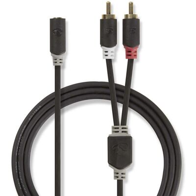 Nedis Modell CABW22255AT02 - Stereo-Audiokabel 0,2 m Anthrazit Nedis Modell CABW22255AT02 - Stereo-Audiokabel 0,2 m Anthrazit
