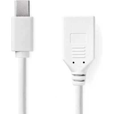Mini DisplayPort kaapeli - 0,2 m Valkoinen - DisplayPort 1.2 Mini DisplayPort kaapeli - 0,2 m Valkoinen - DisplayPort 1.2