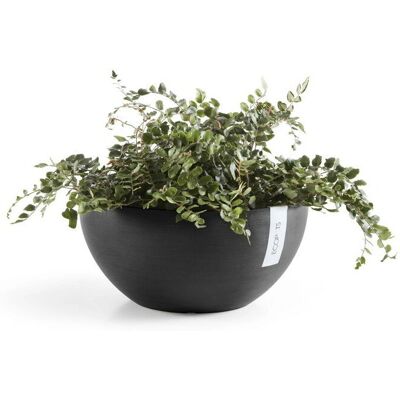 ECOPOTS Brussels Dunkelgrau - Pflanzgefäß, 35cm Durchmesser, 16,5cm Hoch ECOPOTS Brussels Dunkelgrau - Pflanzgefäß, 35cm Durchmesser, 16,5cm Hoch