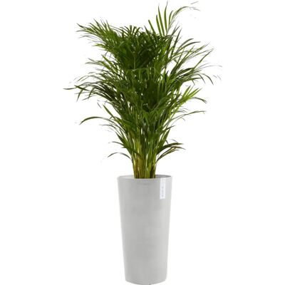 ECOPOTS Amsterdam Hoch Grauer Pflanzkübel - Pflanzenkübel ECOPOTS Amsterdam Hoch Grauer Pflanzkübel - Pflanzenkübel