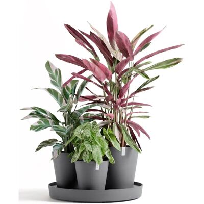 Ecopots Dubai Set - Frostsicher, Recycelter Kunststoff, Wassersystem Ecopots Dubai Set - Frostsicher, Recycelter Kunststoff, Wassersystem