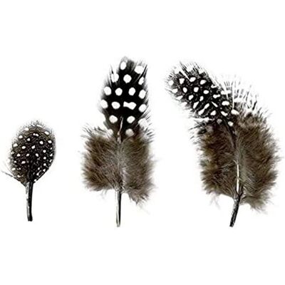Artemio Plumes Naturelles Noires - 2-6cm, 3g - Plumes - Publicité Artemio Plumes Naturelles Noires - 2-6cm, 3g - Plumes - Publicité