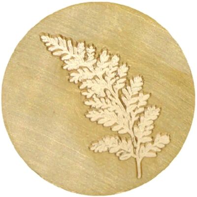 Grawer w mosiądzu z motywem liścia paproci - 25 mm Grawer w mosiądzu z motywem liścia paproci - 25 mm