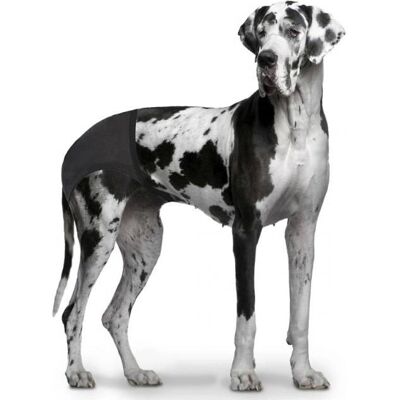 DUVO+ Hundewindeln - XL Inkontinenz, Alte & Sterilisierte Hunde DUVO+ Hundewindeln - XL Inkontinenz, Alte & Sterilisierte Hunde