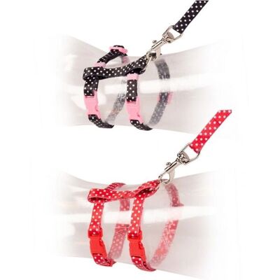 Collier pour Chien DUVO+ - Réglable 20-35cm, 10mm de Largeur, 125cm de Longueur - Collier pour Chien - Publicité Collier pour Chien DUVO+ - Réglable 20-35cm, 10mm de Largeur, 125cm de Longueur - Collier pour Chien - Publicité