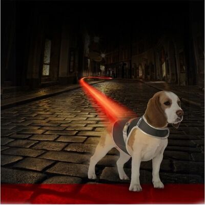 Gilet de sécurité DUVO pour chiens - RÉFLECTEUR L - Publicité Gilet de sécurité DUVO pour chiens - RÉFLECTEUR L - Publicité