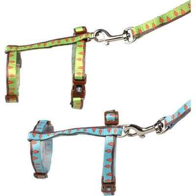 Hundegeschirr und Leine mit Karotten für Kaninchen - Haustierzubehör Hundegeschirr und Leine mit Karotten für Kaninchen - Haustierzubehör