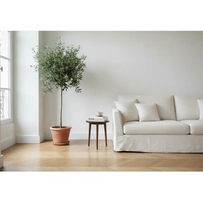 ORAC SX162 Multifunctional Baseboard - Baseboard ORAC SX162 Multifunctional Baseboard - Baseboard